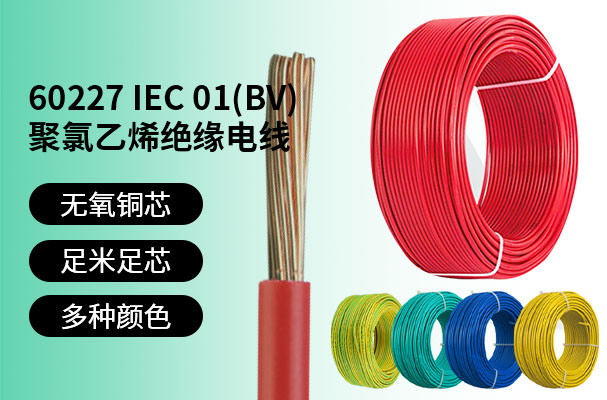 HX-60227IEC 01（BV）